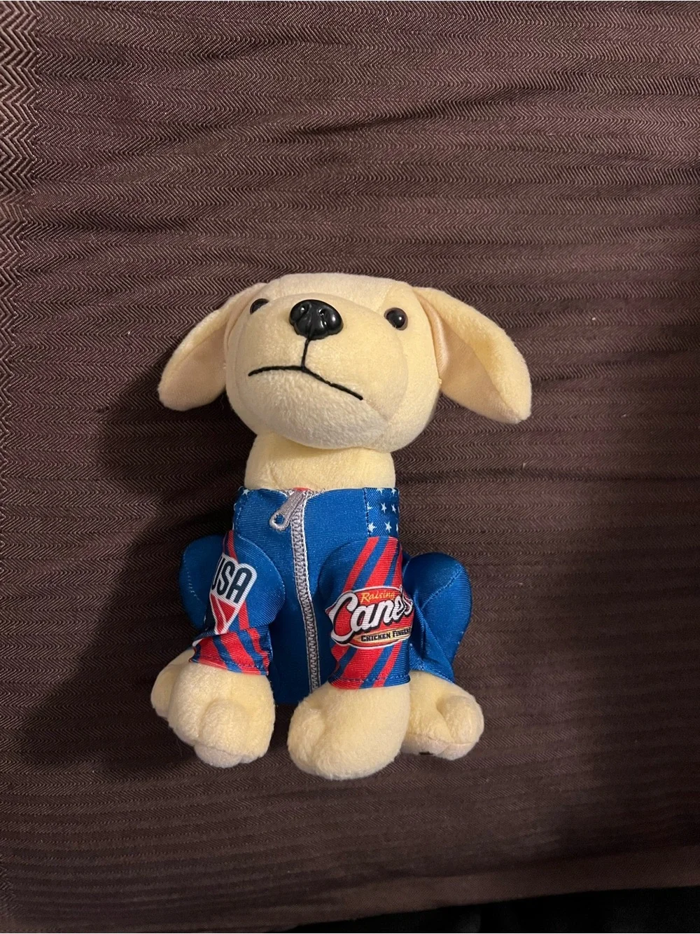 Raising Canes 2026 Limited Edition USA Olympics Plush Pup Rare No Bobsled or Hat